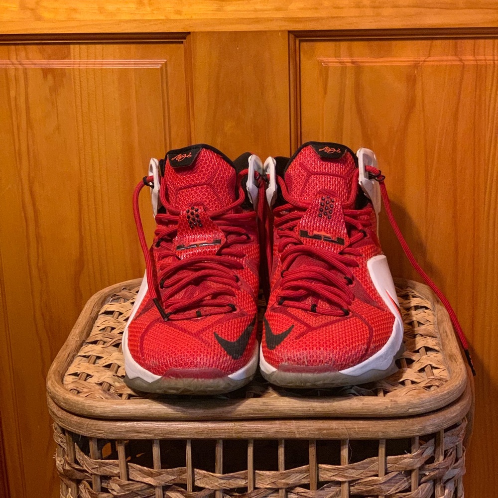 heart of a lion lebron 12’s